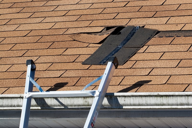 Signs of Wind Damage on Your Roof