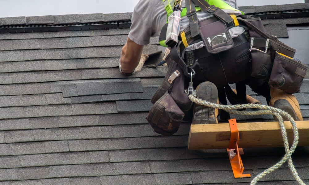 Shingle Roofing